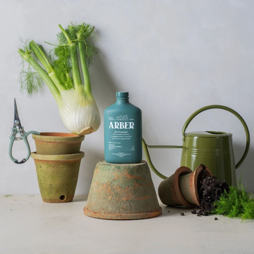 Arbor Bio Protectant