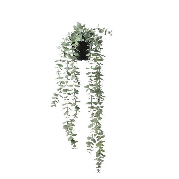 Faux Trailing Eucalyptus