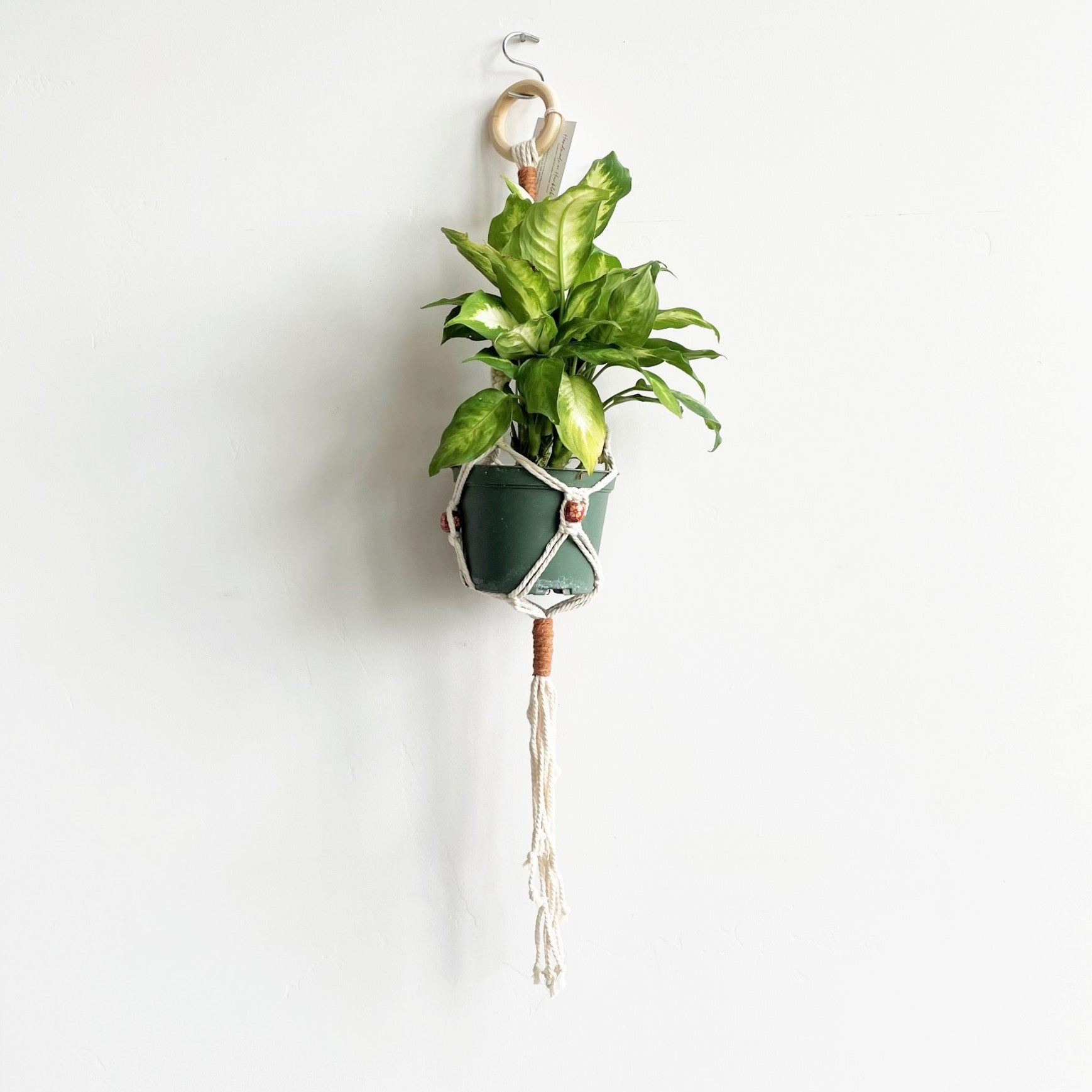 White Classic Three Bead Macramé Plant Hanger