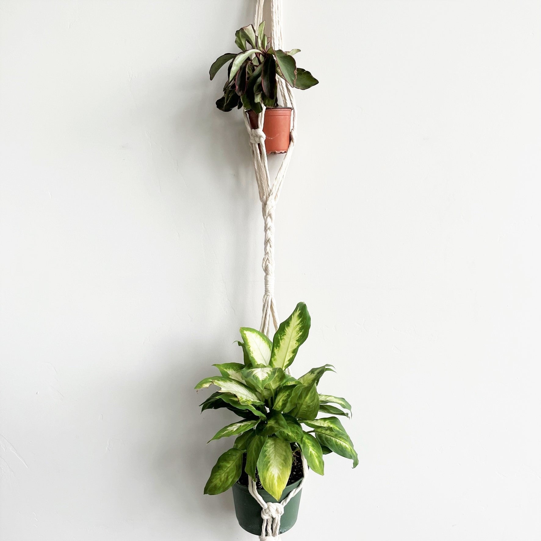 White Simple Double Macramé Plant Hanger