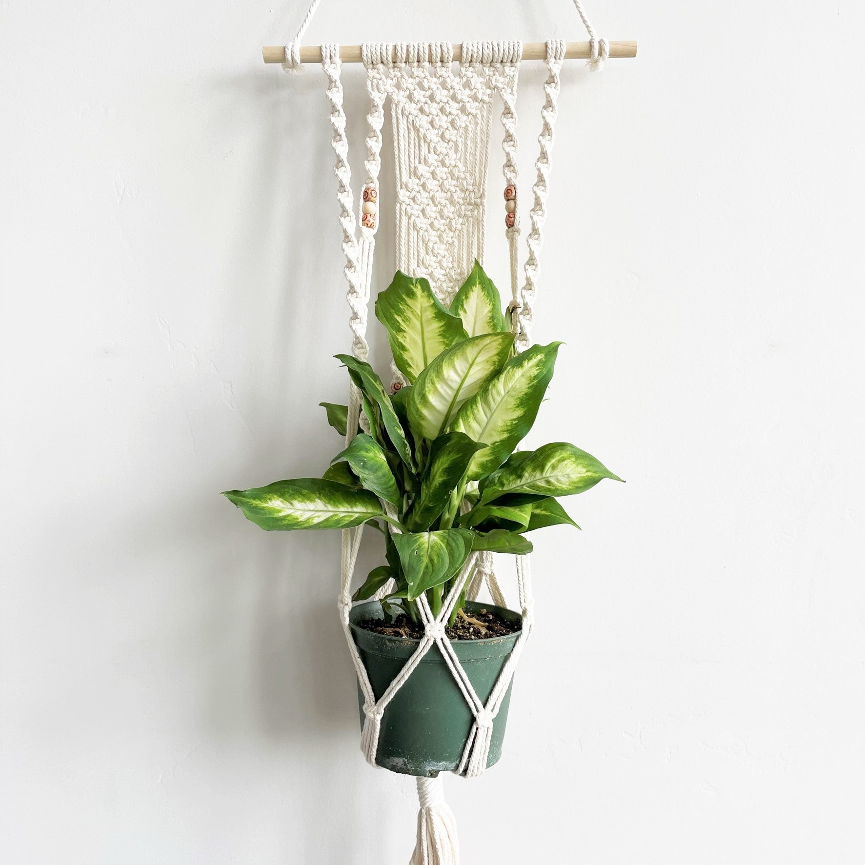 White Large Dowel Macramé Plant Hanger