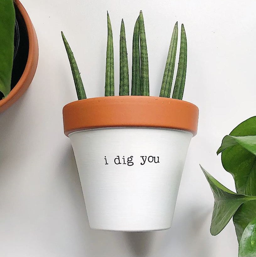 I Dig You Planter