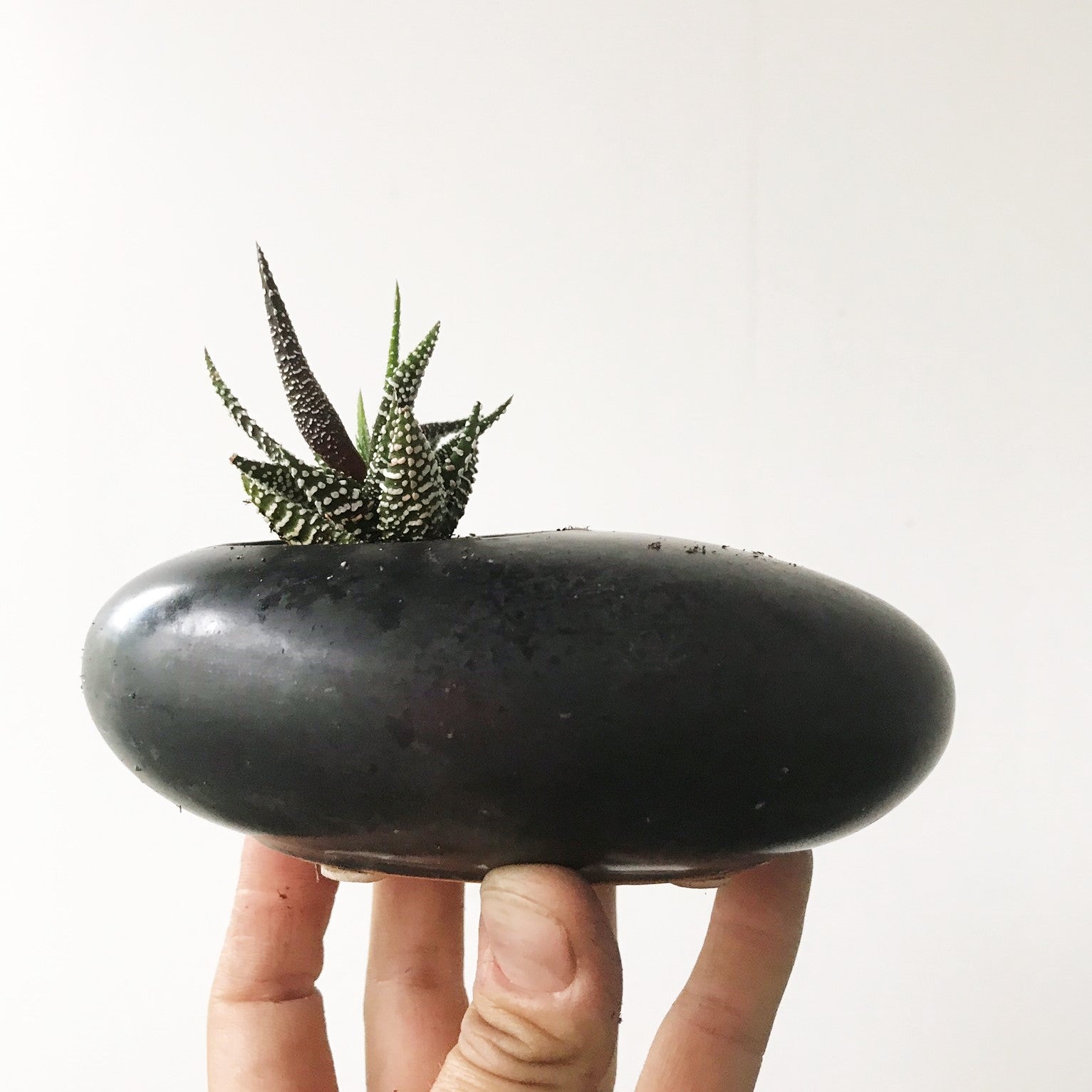 Ceramic Oval Planter