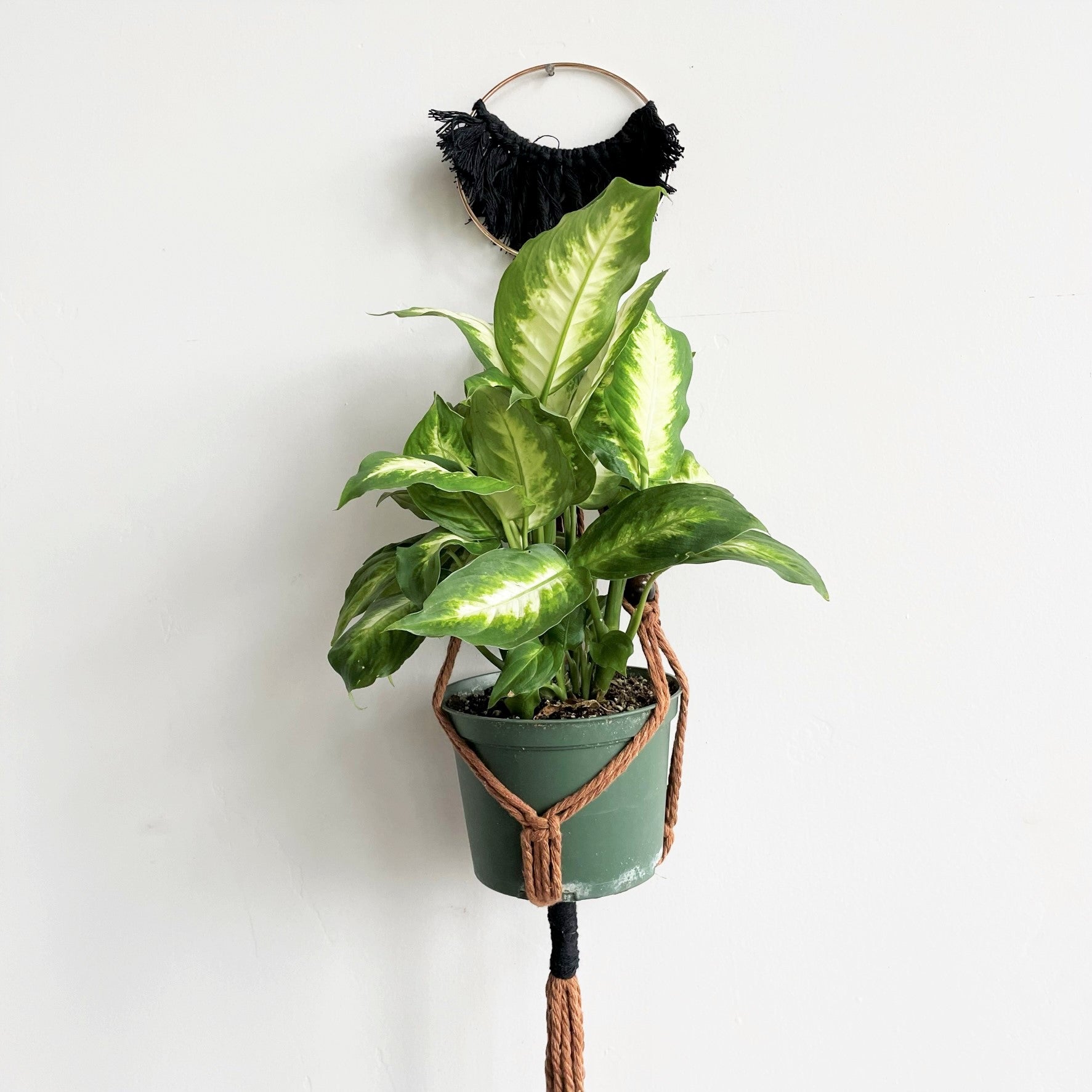 Brown Double Pocket with Black Detail and Gold Ring Macramé Plant Hanger