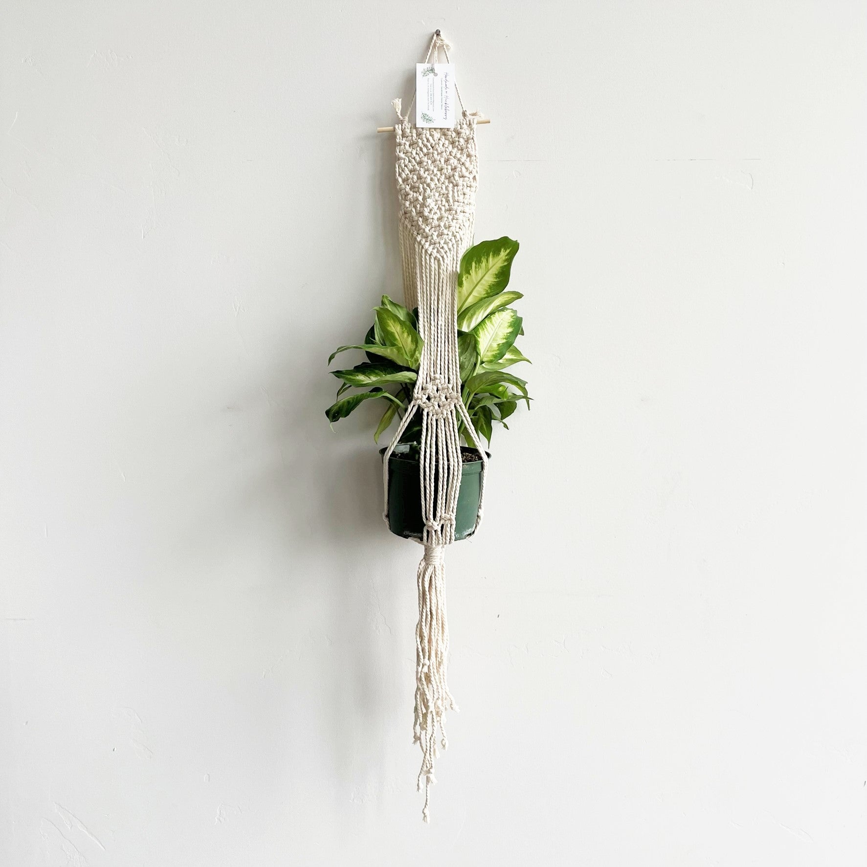 White Small Dowel Flat Top Macramé Plant Hanger
