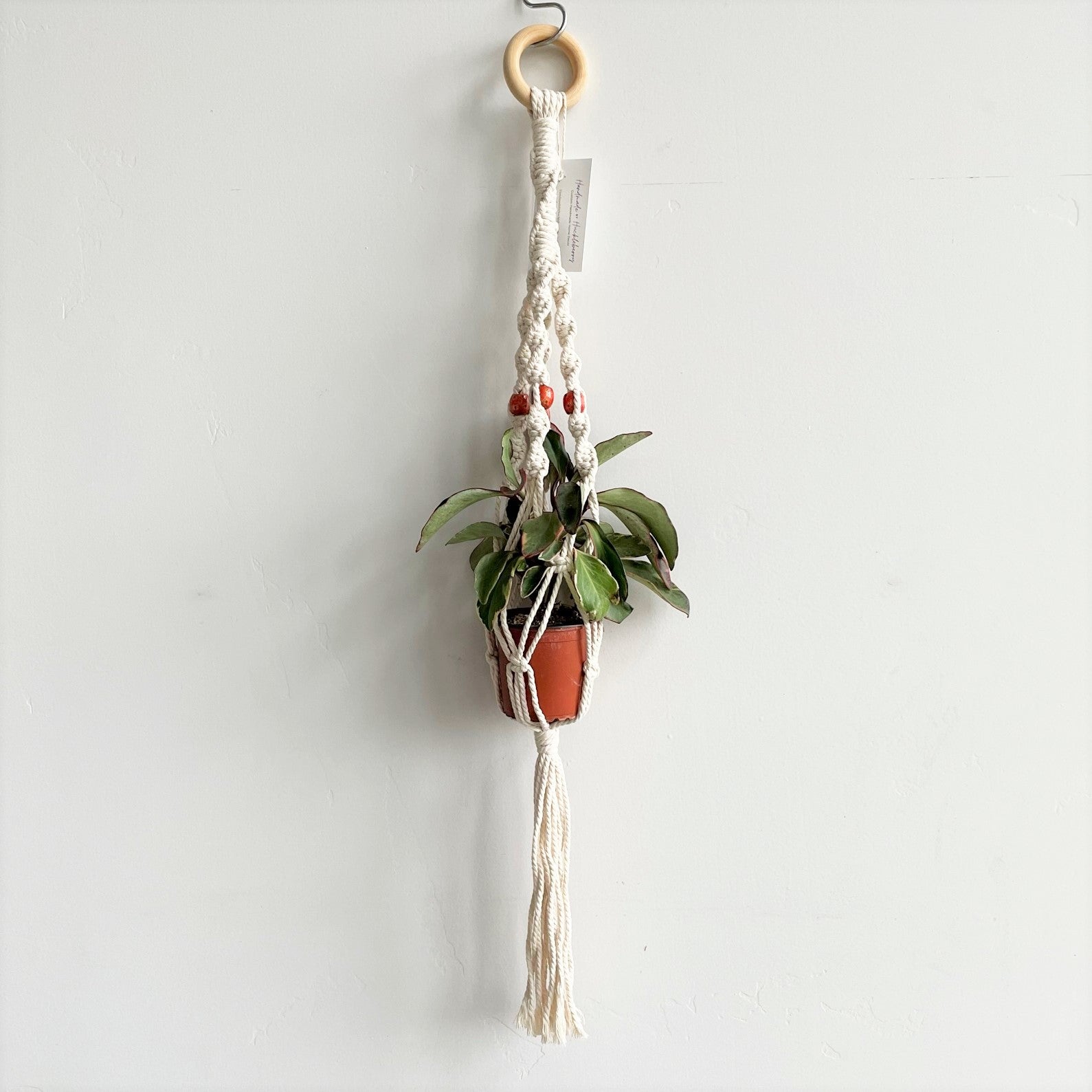 White Twist Macramé w/ Red Beads Plant Hanger