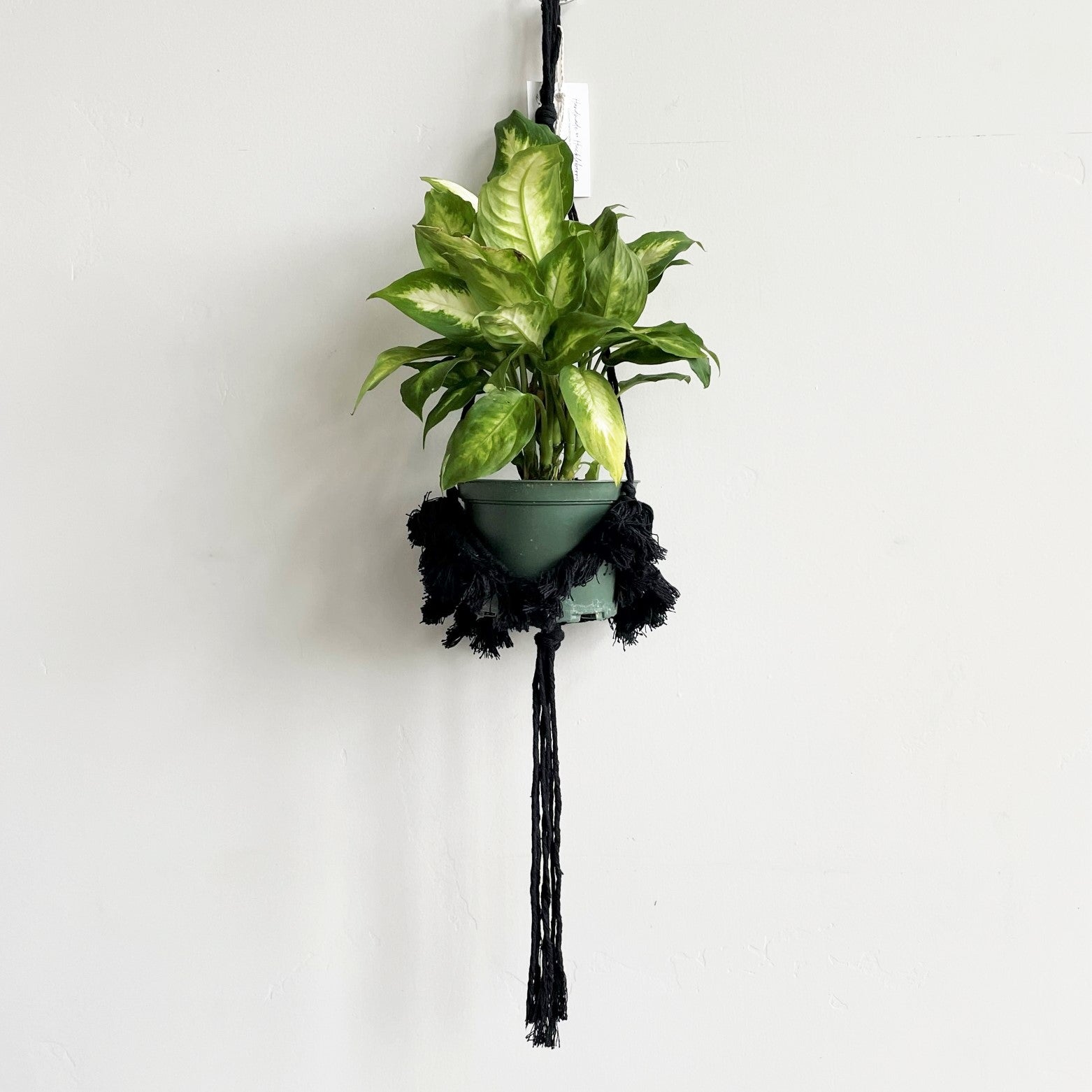 Black Macramé Plant Hanger with Tufting