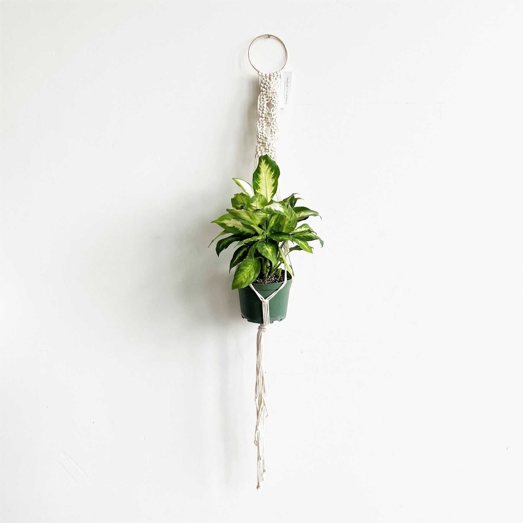 White Three Disk Gold Ring Macramé Plant Hanger