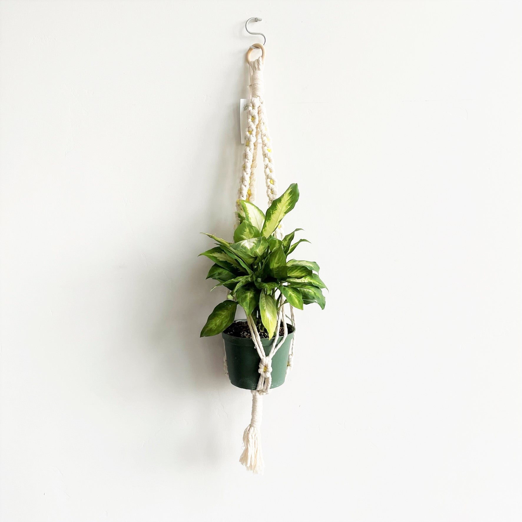 White w/ Yellow Accents Macramé Plant Hanger