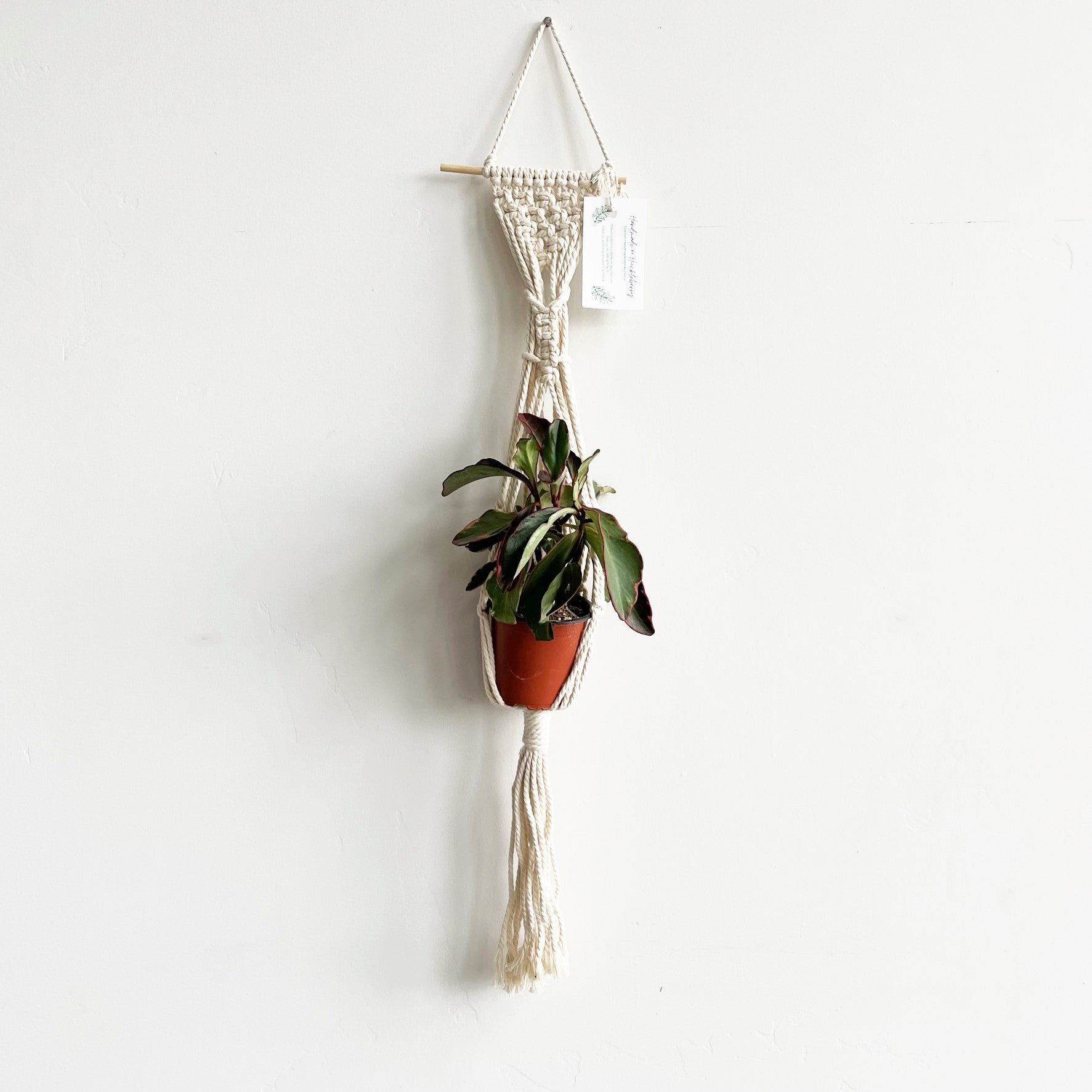 White Small Dowel Scrunch Top Macramé Plant Hanger