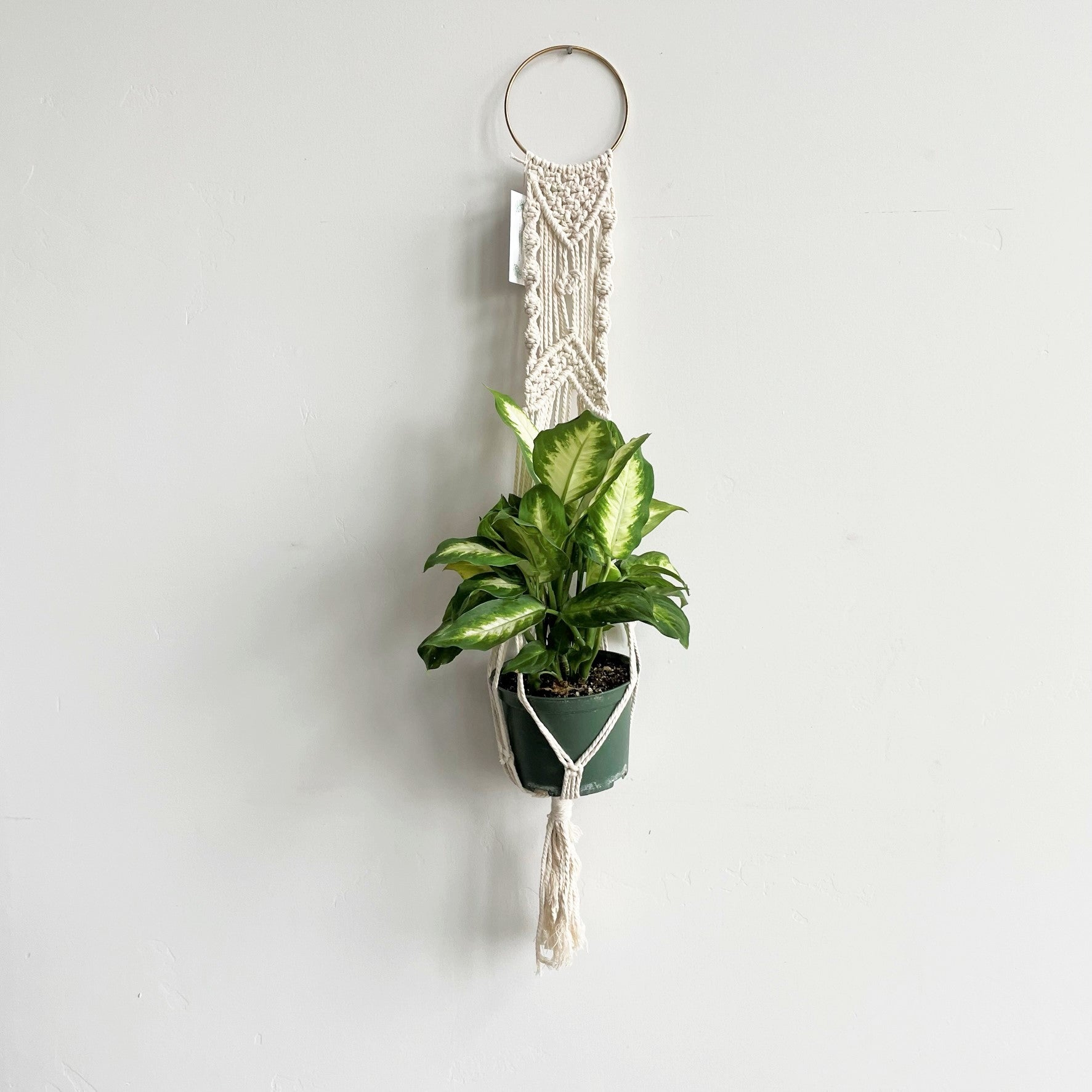 White Geometric Pattern Macramé Plant Hanger with Gold Ring
