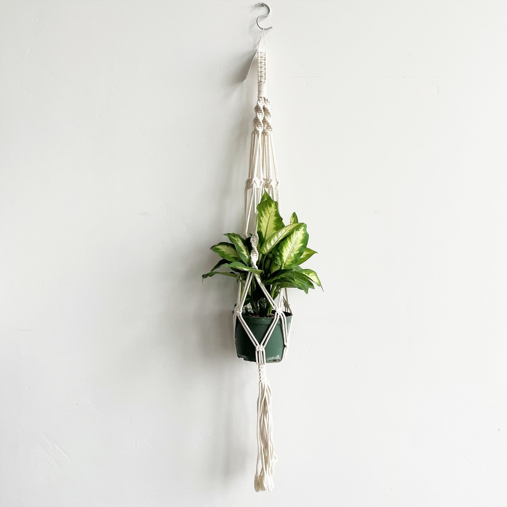 White Twist-Knot-Twist Macramé Plant Hanger