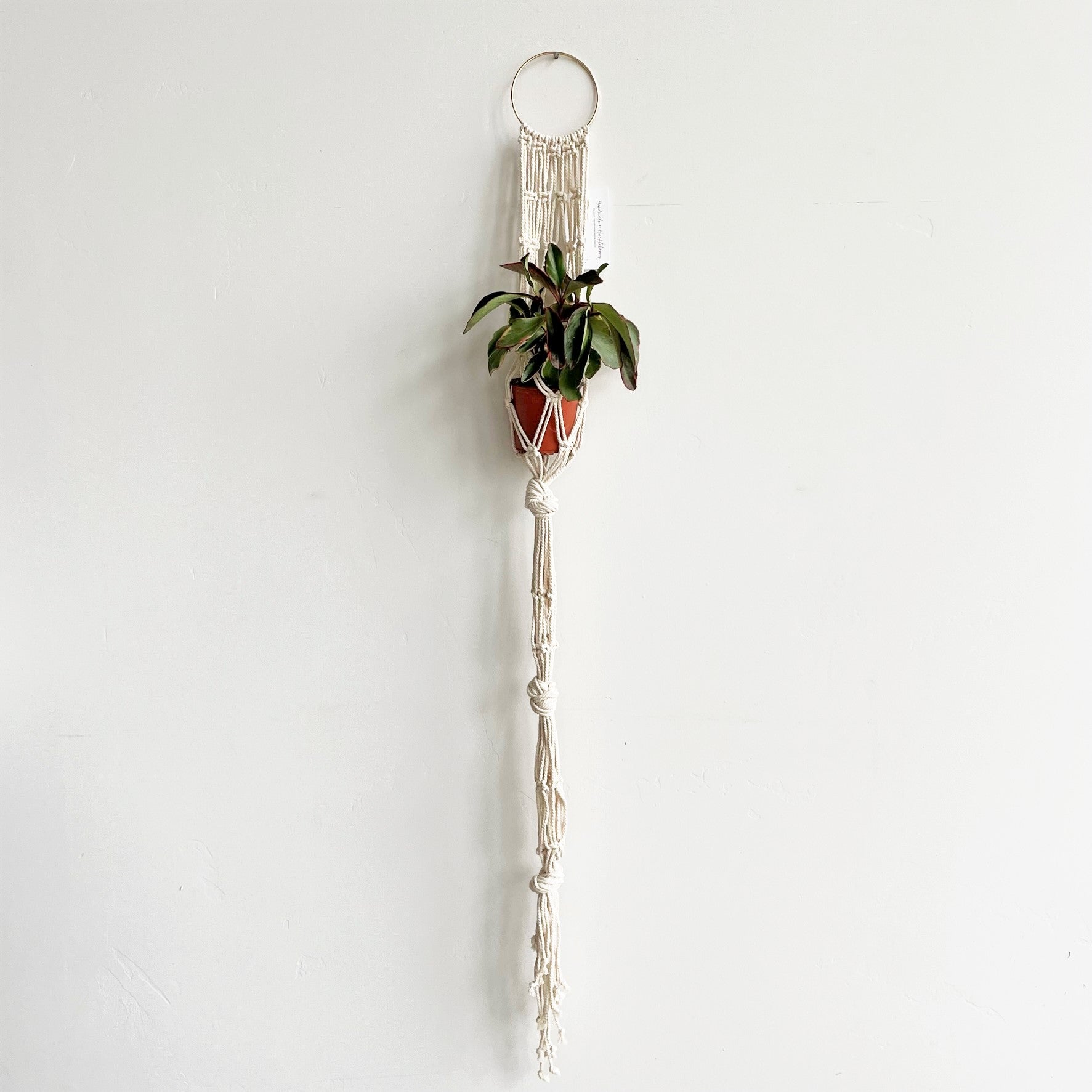 White Triple Pocket Gold Ring Macramé Plant Hanger