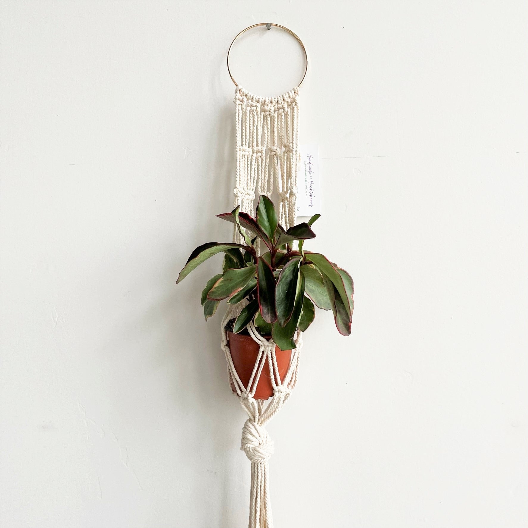 White Triple Pocket Gold Ring Macramé Plant Hanger