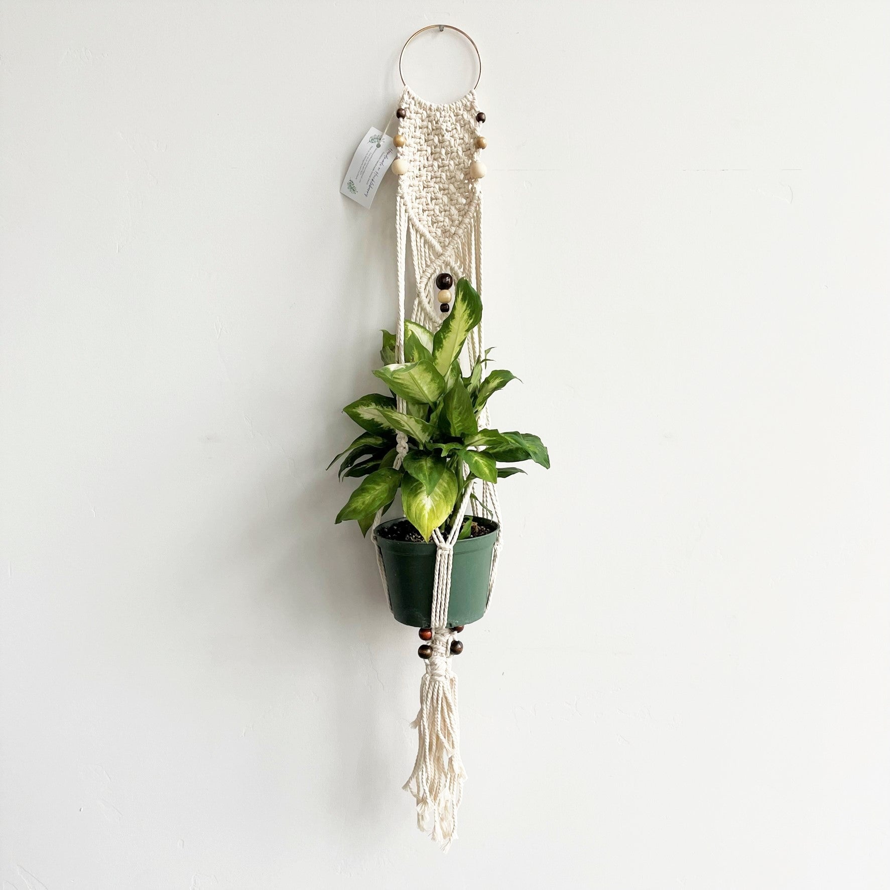 White Beaded Gold Ring Macramé Plant Hanger