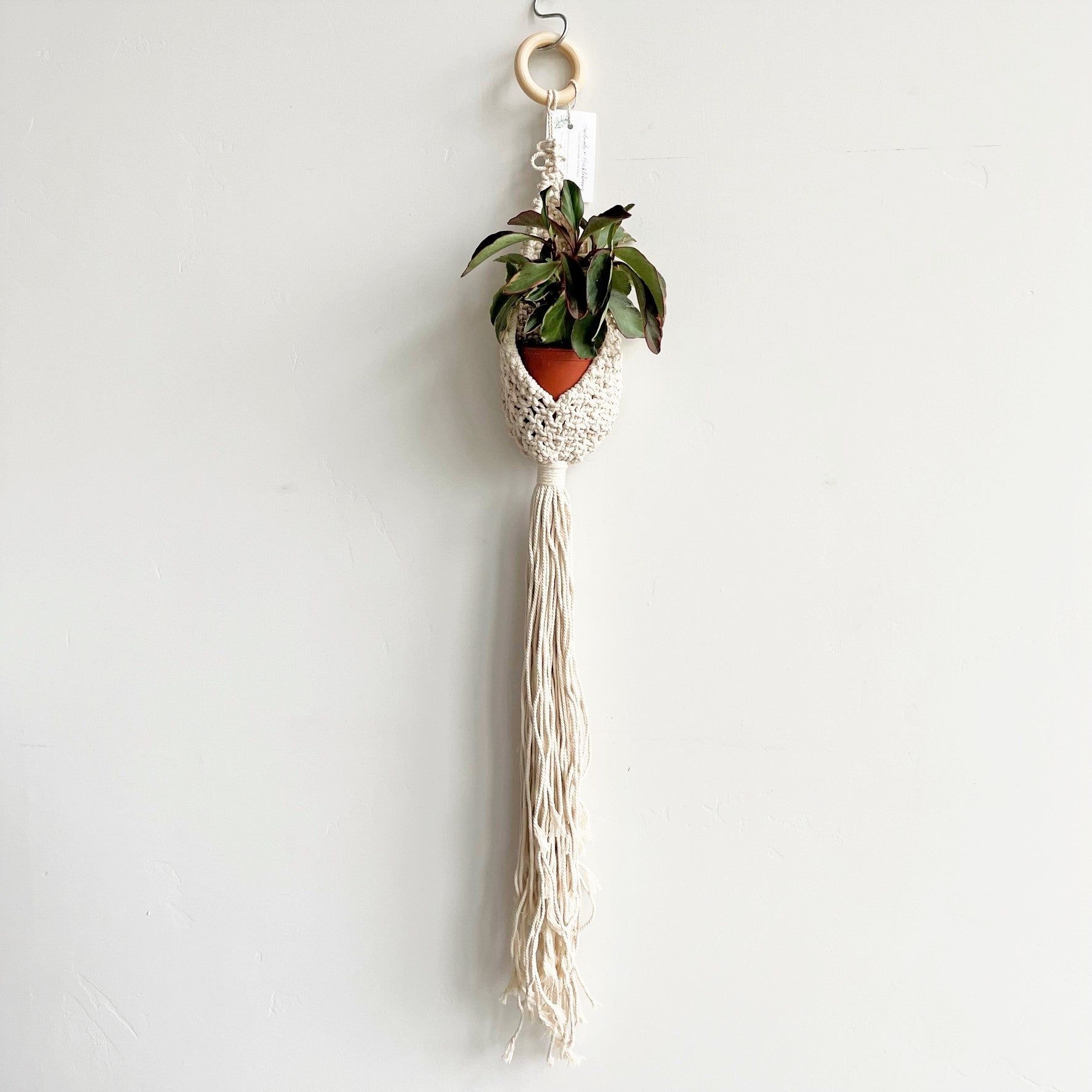 White Single Pocket Macramé Plant Hanger