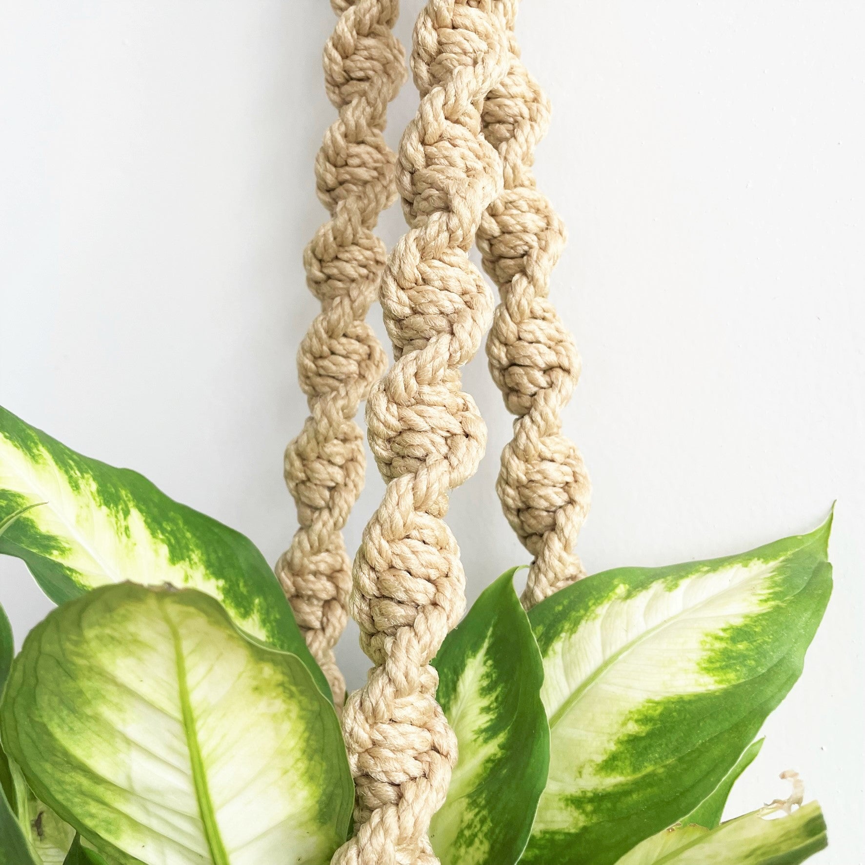 Twisted Sisters Spiral Macramé Plant Hanger