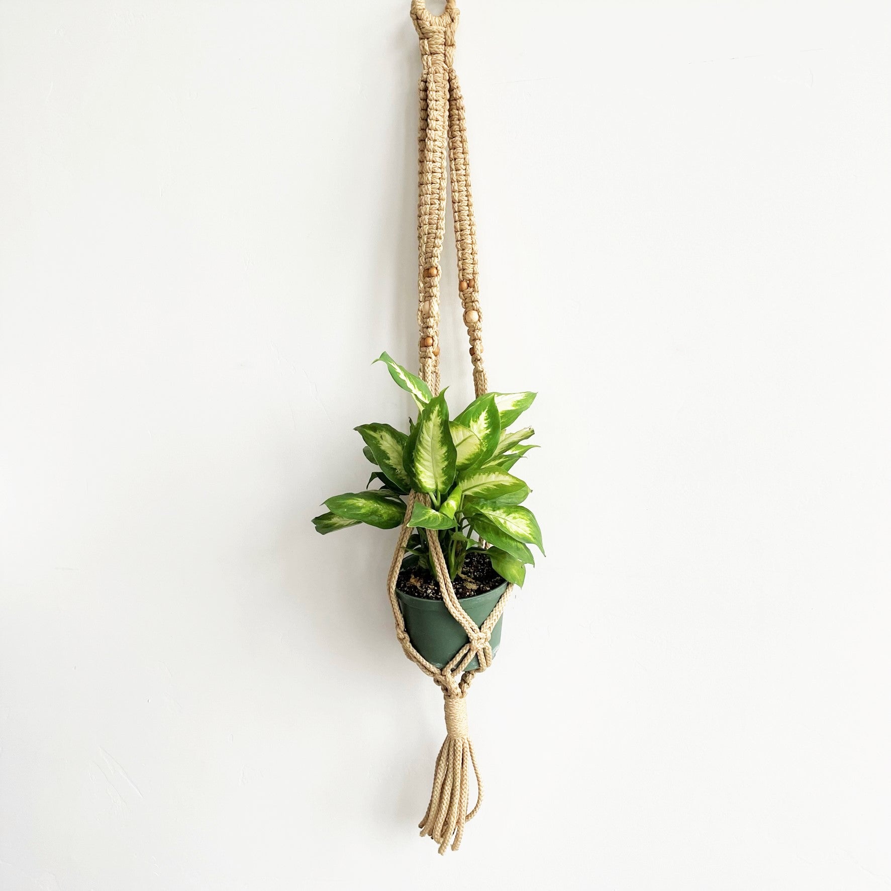 Twisted Sisters Beaded Macramé Plant Hanger