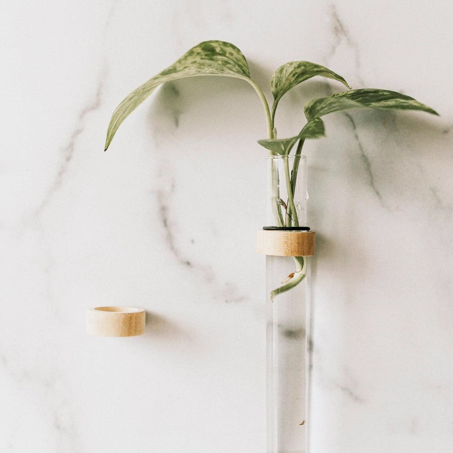Minimalistic Wood Propagation Station - Single Tube