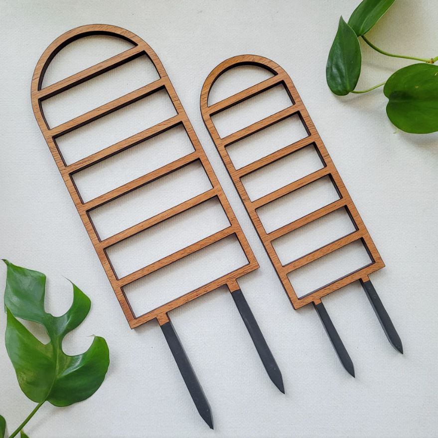 Ladder Plant Trellis