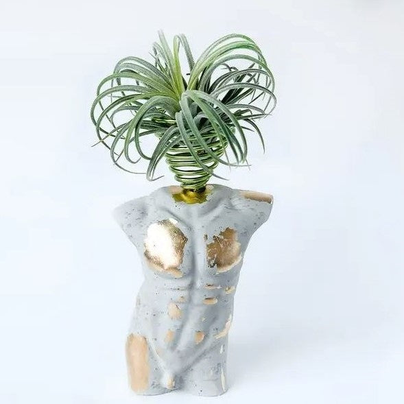 Male Torso Planter