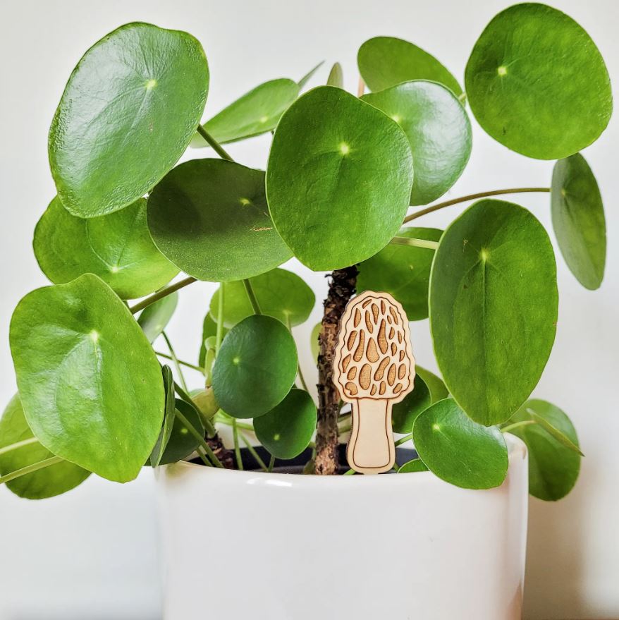 Morel Mushroom Plant Stake