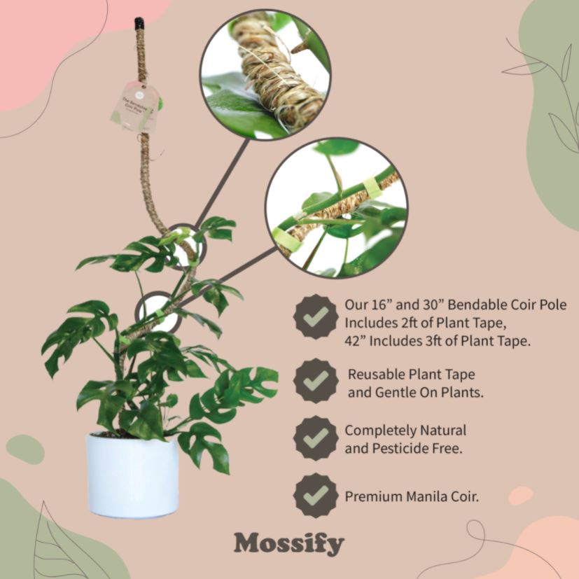 Mossify Bendable Coir Pole