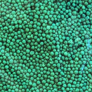 Osmocote - Controlled Release Fertilizer