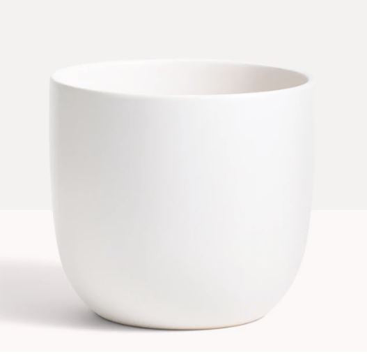 White Contour Ceramic Planter