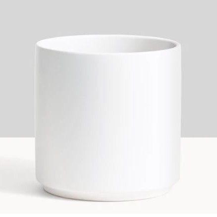 White Cylinder Ceramic Planter