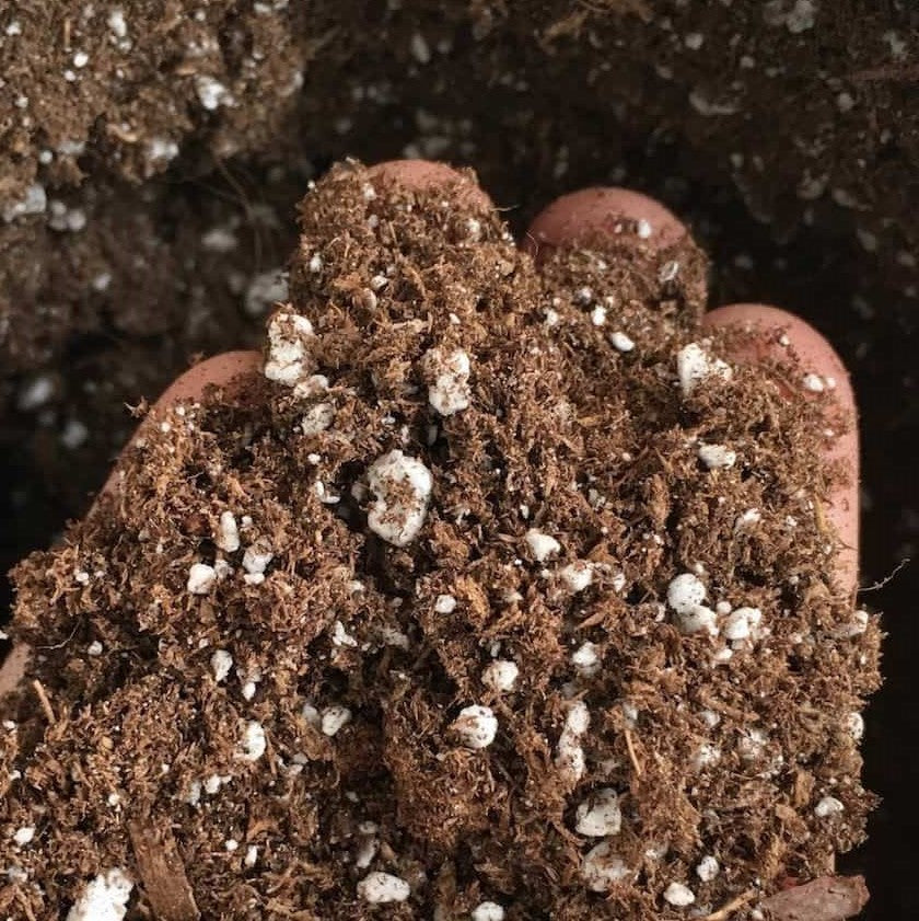 Potting Mix