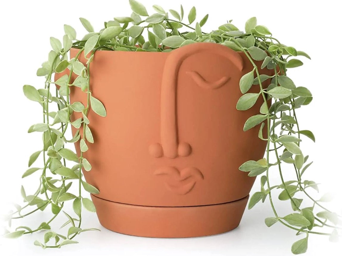 Abstract Art Face Planter