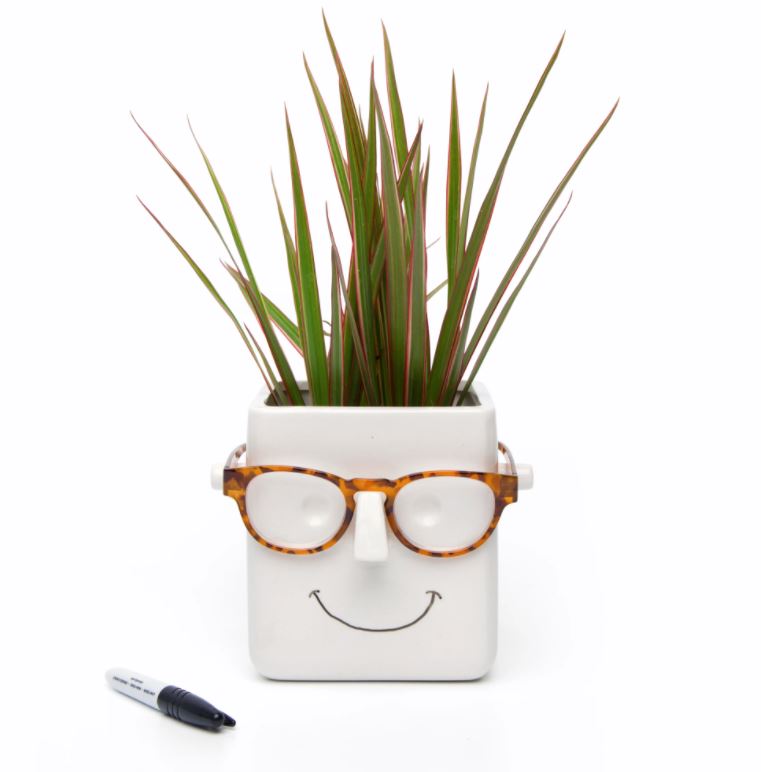 Make a Face Planter