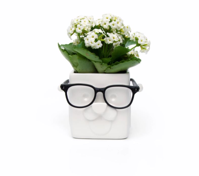 Puppy Face Planter