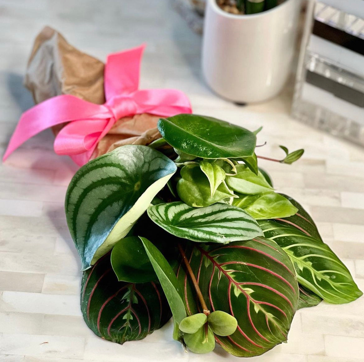 Houseplant Cuttings Mystery Bouquet (Unrooted)