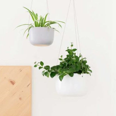 Hanging Contour Ceramic Planter