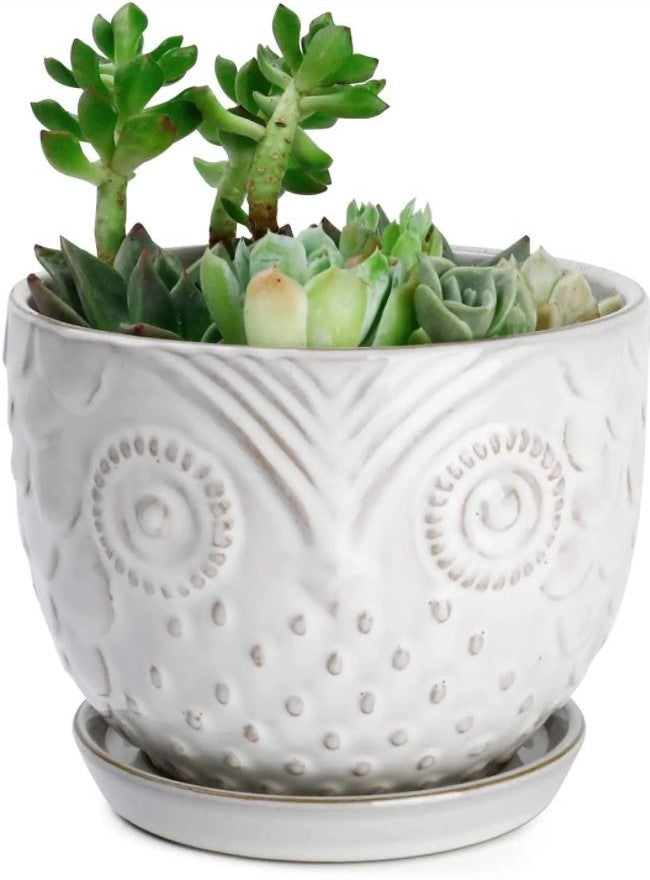 Owl Planter with Attached Saucer