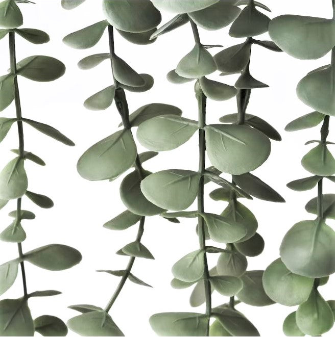 trailing faux succulent Faux Trailing Eucalyptus Houseplant