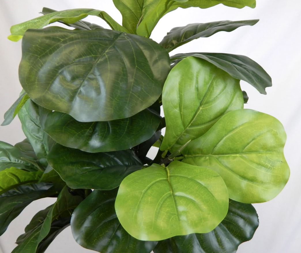 faux fiddle leaf fig plant Faux Fiddle Leaf Fig Tree Houseplant