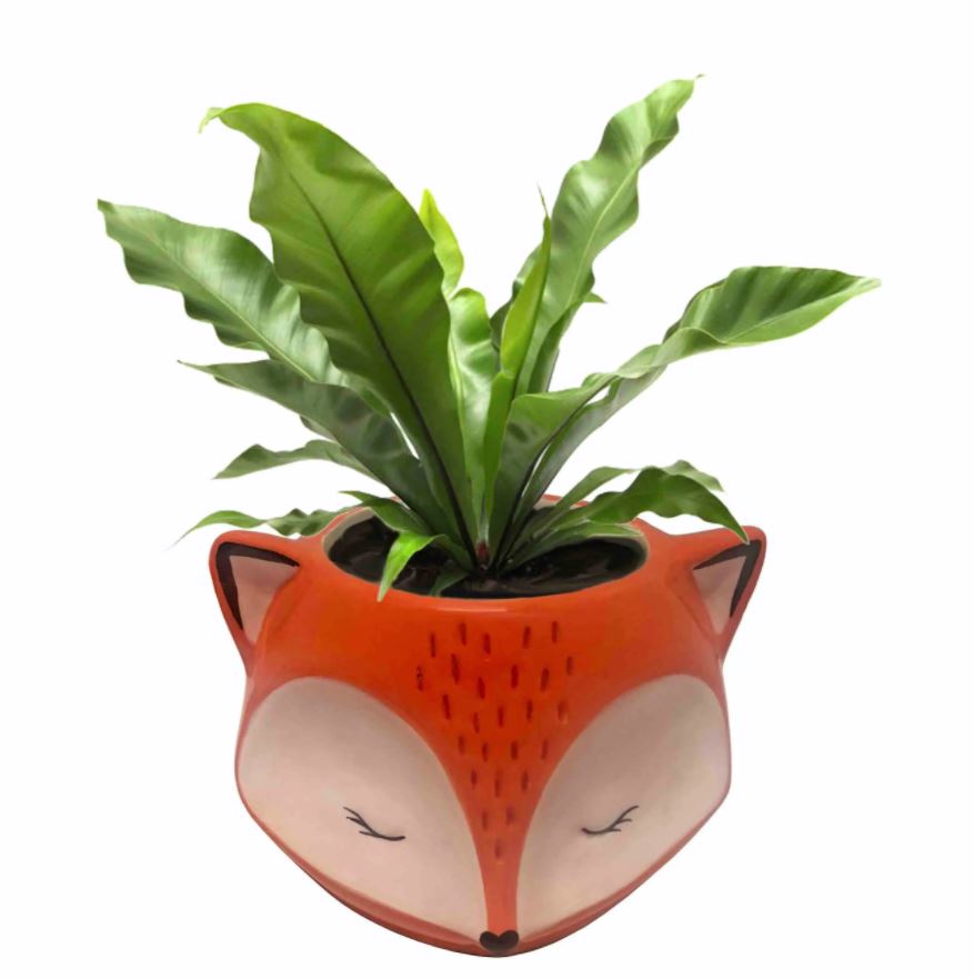 Red Fox Planter