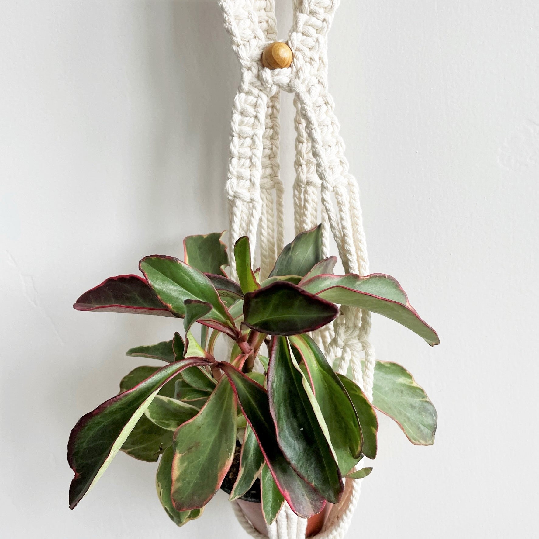 White Reverse Braid Macramé Plant Hanger