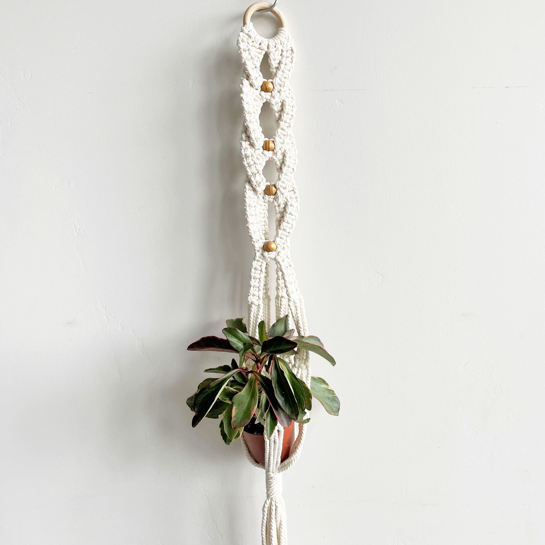 White Reverse Braid Macramé Plant Hanger