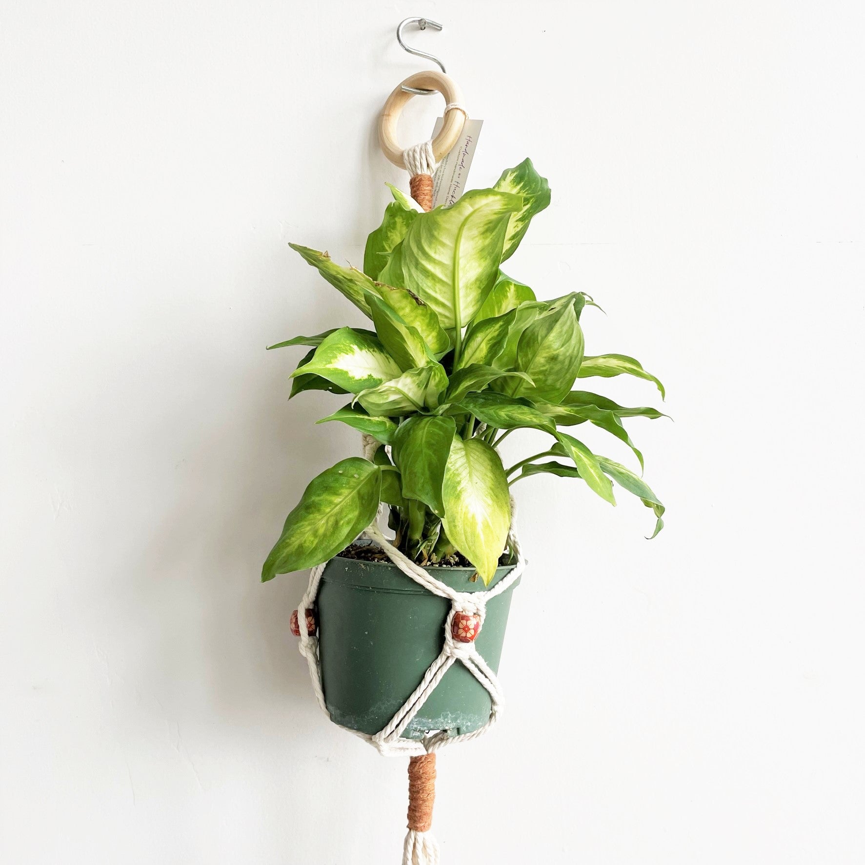 macrame three plant hanger White Classic Three Bead Macramé Plant Hanger
