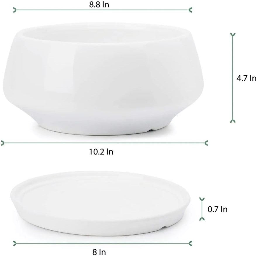 Squat White Ceramic Planter with Detached Saucer
