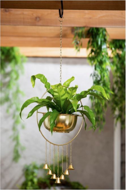 gold hanging planter indoor Golden Bells 6" Hanging Planter