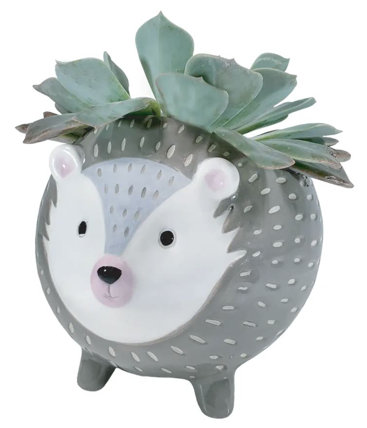 Sweet Hedgehog Planter