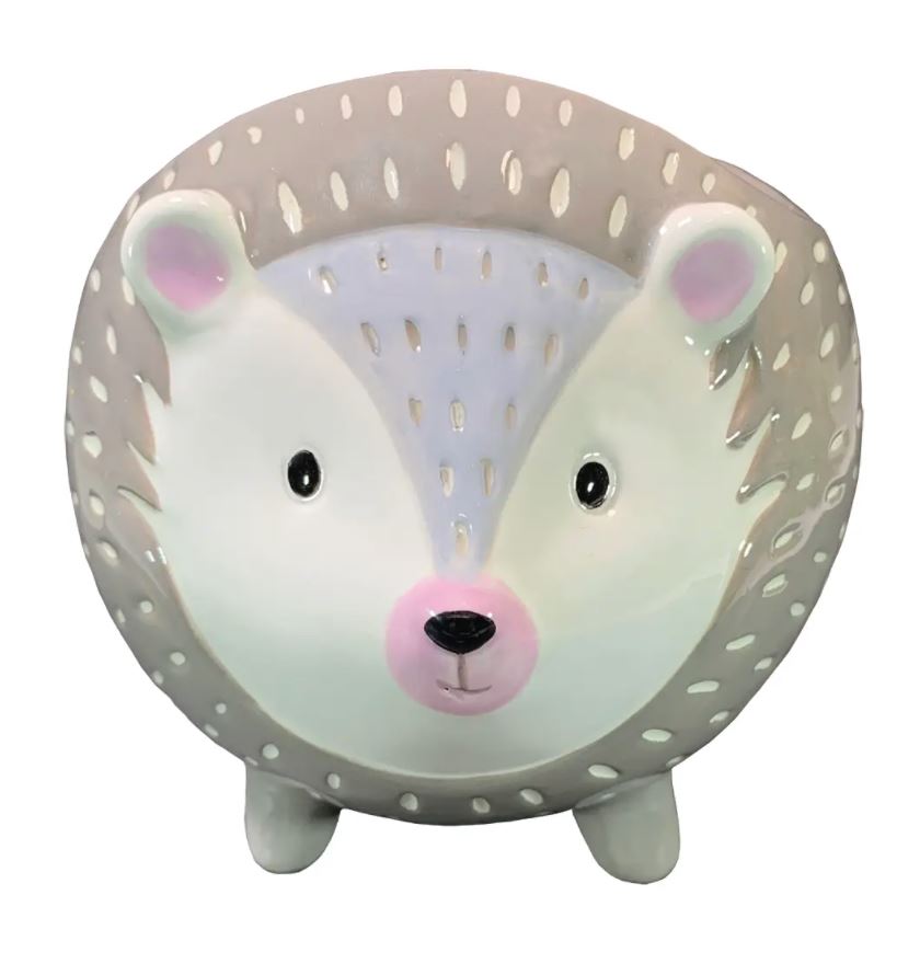 hedgehog succulent planter Sweet Hedgehog Planter