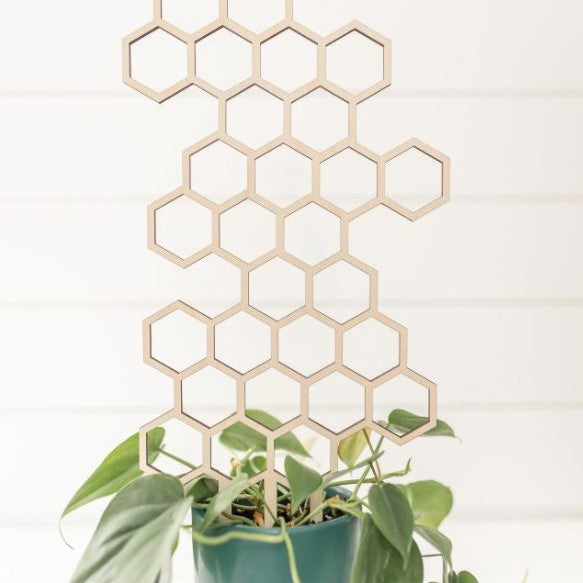 Honeycomb Plant Trellis