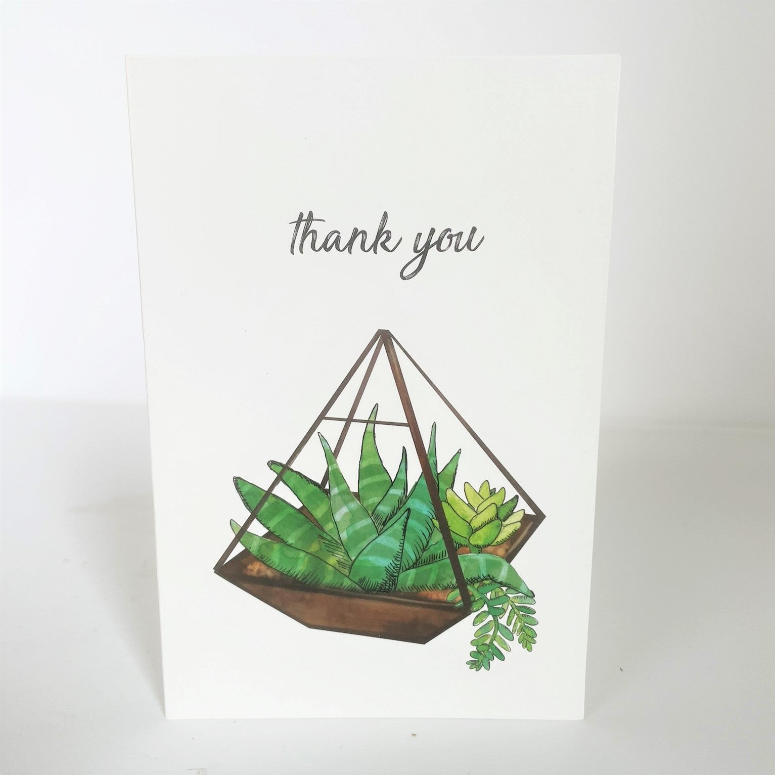 Thank You - Succulent Card
