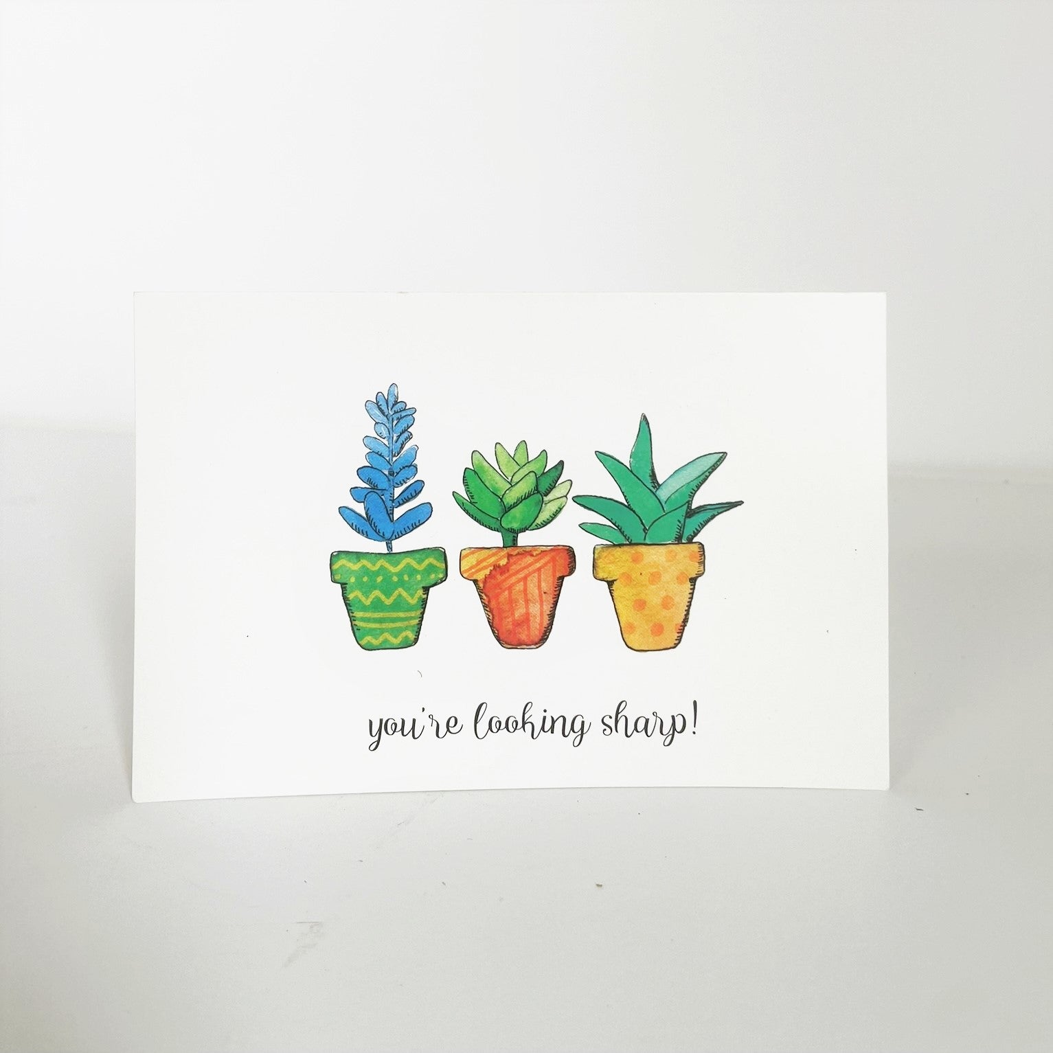Looking Sharp - Succulents & Cacti Card